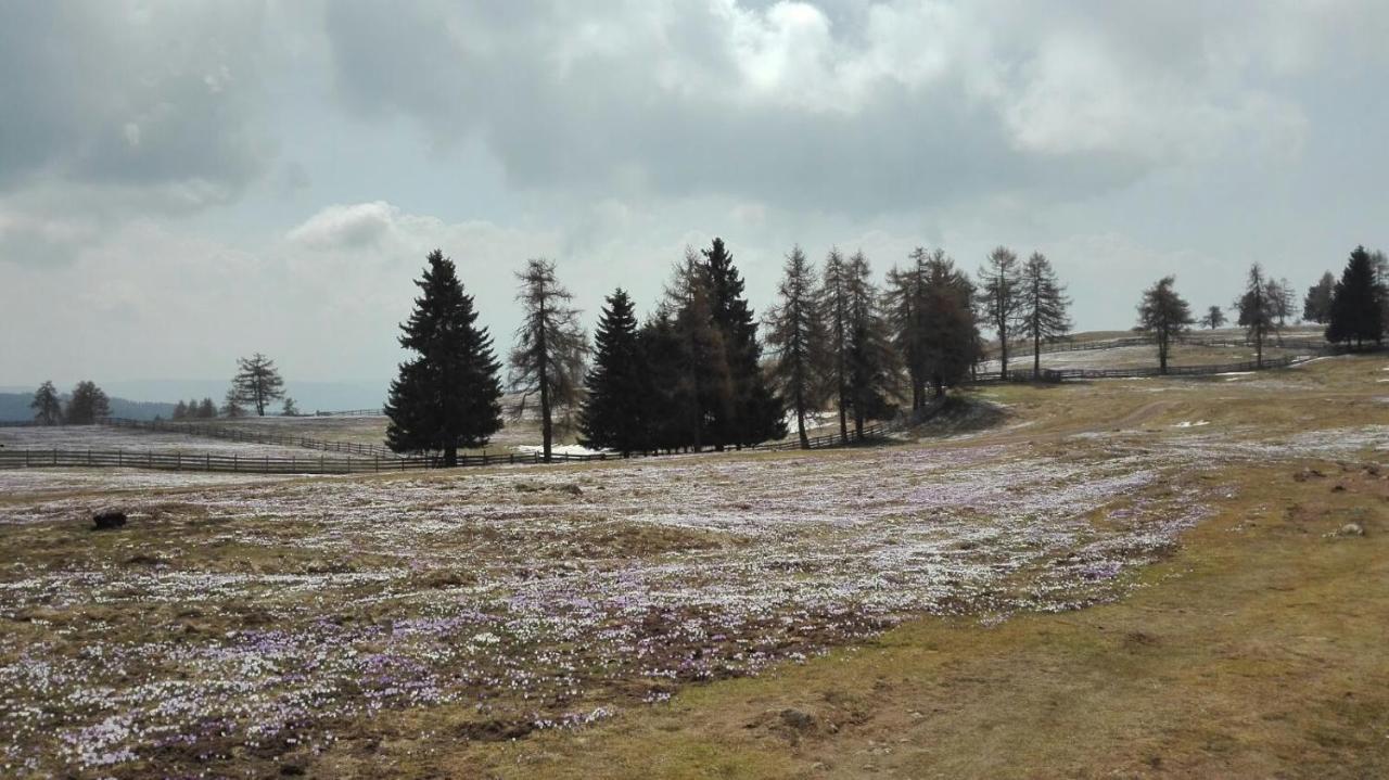 Alpenrose Lejlighed Meltina Eksteriør billede