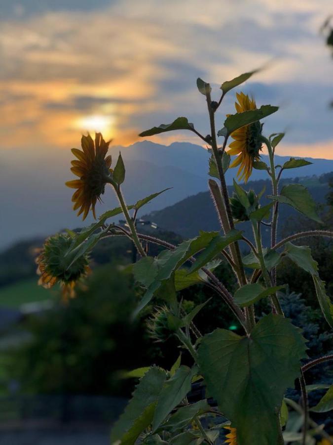 Alpenrose Lejlighed Meltina Eksteriør billede